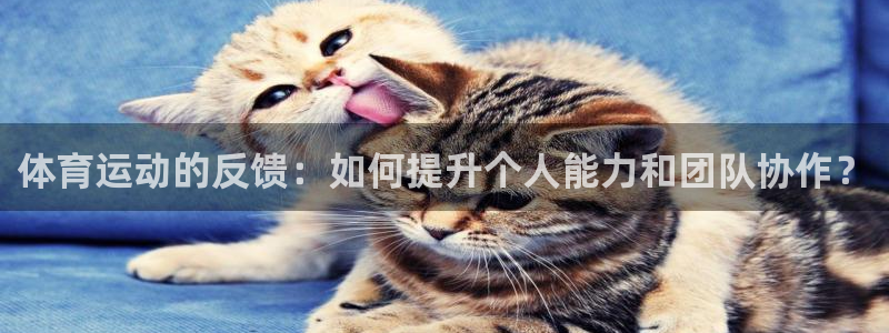 球速体育：体育运动的反馈：如何提升个人能力和团队协作？