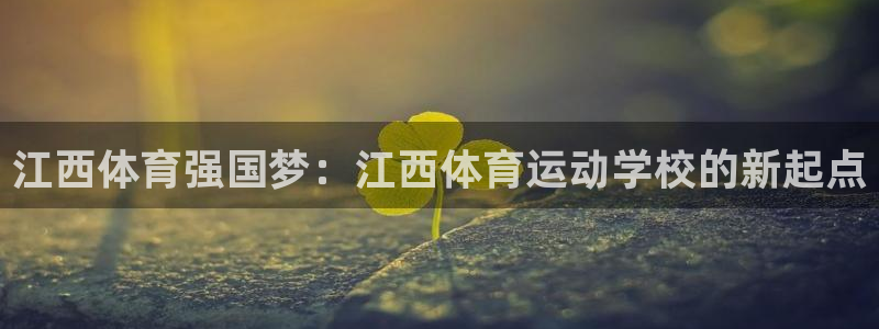 球速体育