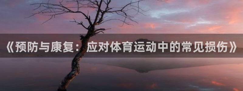 球速体育：《预防与康复：应对体育运动中的常见损伤》