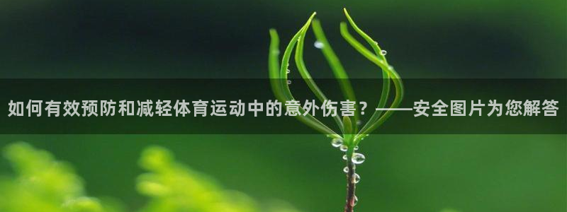 球速体育