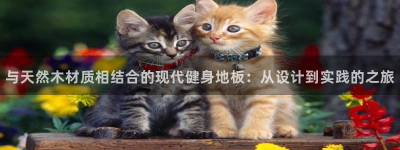 球速体育：与天然木材质相结合的现代健身地板：从设计到实践的之旅