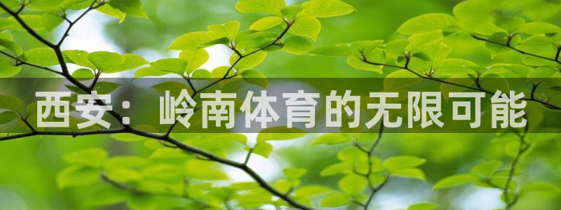 球速体育：西安：岭南体育的无限可能