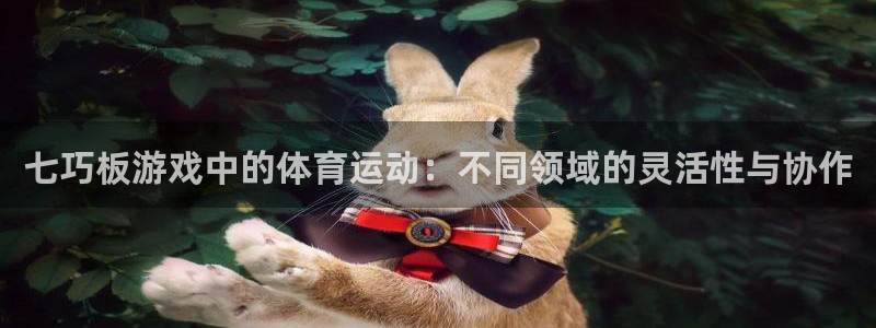 球速体育：七巧板游戏中的体育运动：不同领域的灵活性与协作